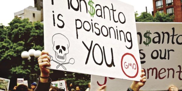 Communities enact bans on GMO crops