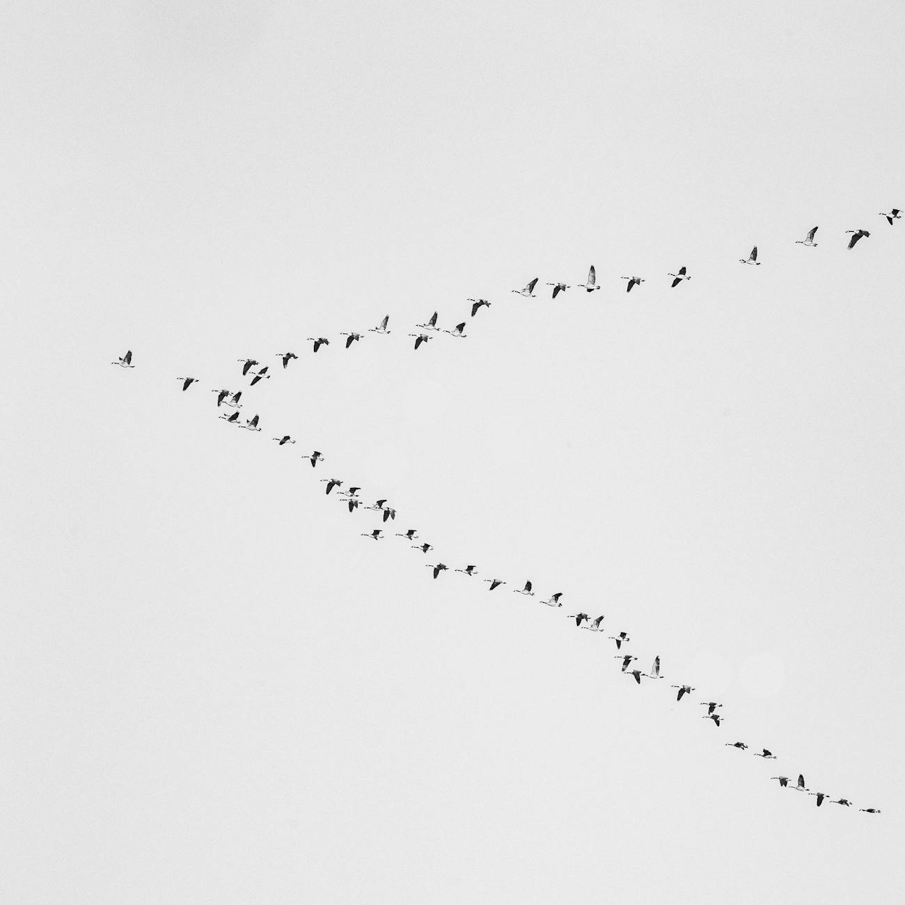 Sojourn south begins for snowbirds