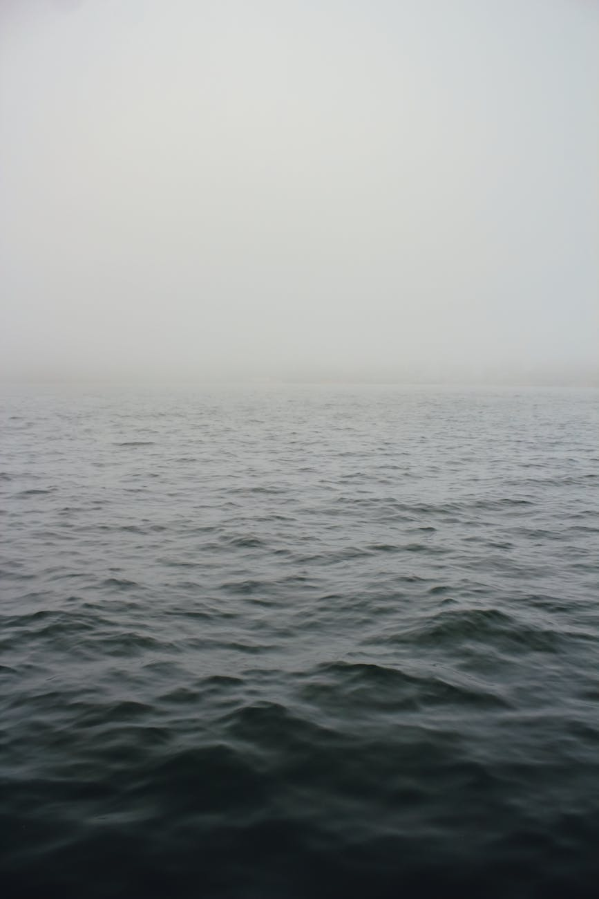 Cutting through the fog
